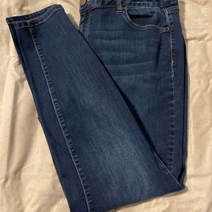 Lane Bryant Jeans